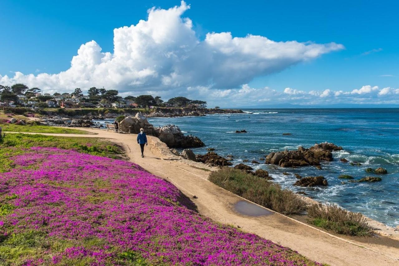 3812 Little House Home Pacific Grove Exteriér fotografie